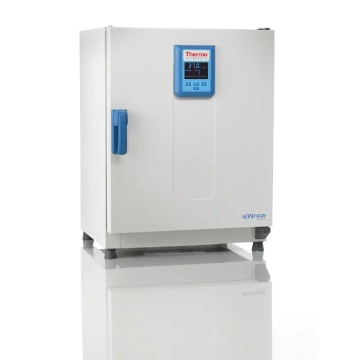 Plate-Based Microbial Testing